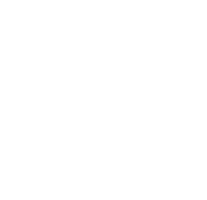 Scoop 50 Fifty Ice Cream Parlor Summerville SC